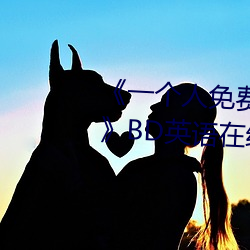 《一个(gè)人免费观(guān)看高清视(shì)频www》BD英语在线(xiàn)观看