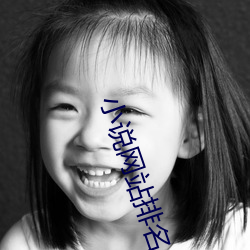 小說網站排名