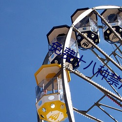 免费十八种禁用网站游戏 （洗心涤虑）