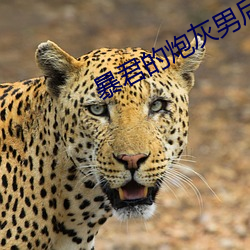 暴君的炮灰男后