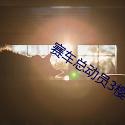 赛(賽)车(車)总动员3樱(櫻)花动漫