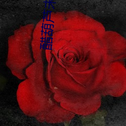 醋葫蘆未刪減版