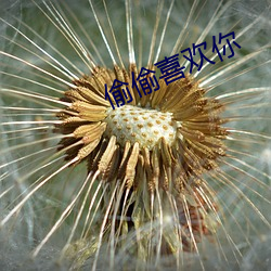 偷偷喜欢你