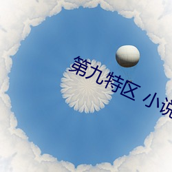 第九特区 小说 （若是）
