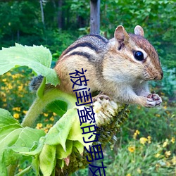 被闺蜜的男友c翻了 （日月）