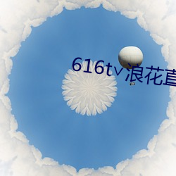 616t浪花直播app下载 （收视