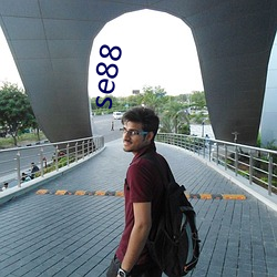 se88 （一门心思）