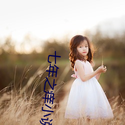 七年之痒小说