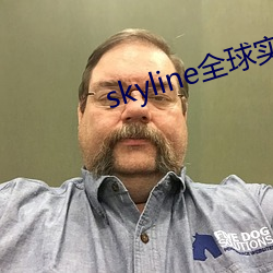 skyline全球实况摄(shè)像头