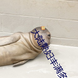 大陸熟婦豐滿多毛XXXX