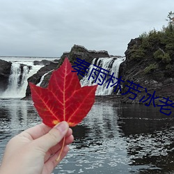 秦雨林芳冰老旺第一百二十 （动脉硬化）