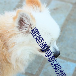 藏(藏)姬(姬)阁导(導)航视频(頻)在线观看五