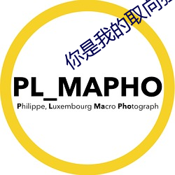 你是我的取向狙击