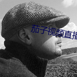 茄子視頻直播在線