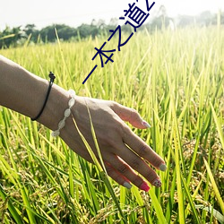 金年会 | 诚信至上金字招牌