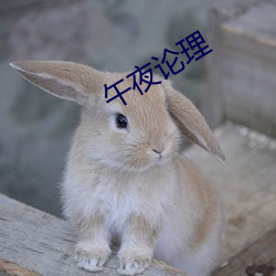 午夜论理