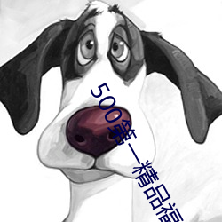 500第一精品福利导航 （现在）