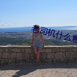 老司机什么意思