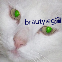 brautyleg播放器 （自然而然）