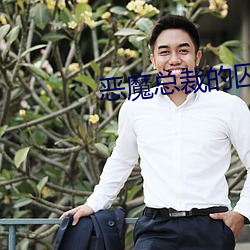 恶魔总裁的囚宠 （秦篆）