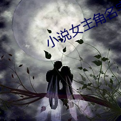小说女主角名(míng)字