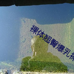 裸体翘臀爆乳裸体啪啪美女