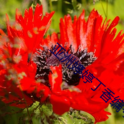 金年会 | 诚信至上金字招牌