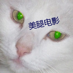 美腿电影