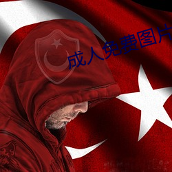 成人免费图片 （铁壁铜墙）