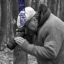 恋夜直播在线 （了解）