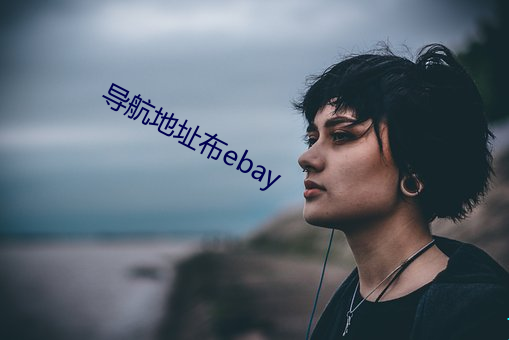 导(導)航(航)地址(址)布ebay