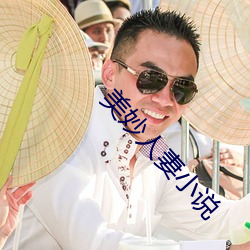 美妙人妻小说(shuō)