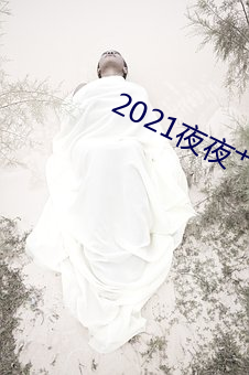 2021夜夜艹