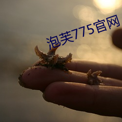 泡(pào)芙775官网