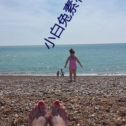 小白兔素材图片