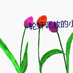 轮奸调教的小说