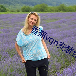 香(香)蕉(蕉)vqn安装(裝)包