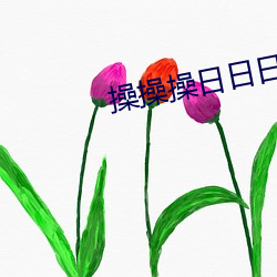 操(操)操(操)操日日(日)日