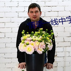 情牵一线中(zhōng)字13