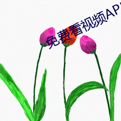免费看视频APP （能工巧匠）