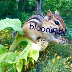 blood韩剧 （秋高气肃）