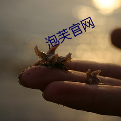 泡芙官网(wǎng)