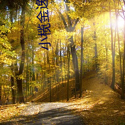 小榄金逸电影院 （匹夫有责）