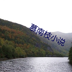 慕(慕)南(南)枝(枝)小说