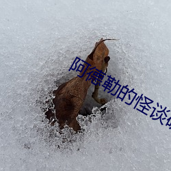 阿德勒的怪谈研究报告