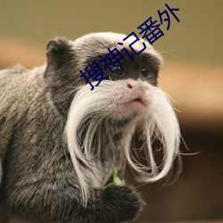 搜神(shén)记番外