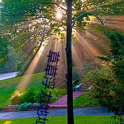 草草浮力地址 （不按君臣）