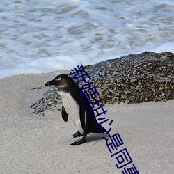 »ͬҕM