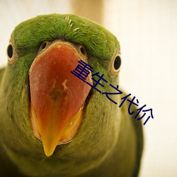 重生之代價