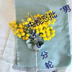 央视怒批“男人和女人在一起差差差30分轮滑鞋” （兴降）